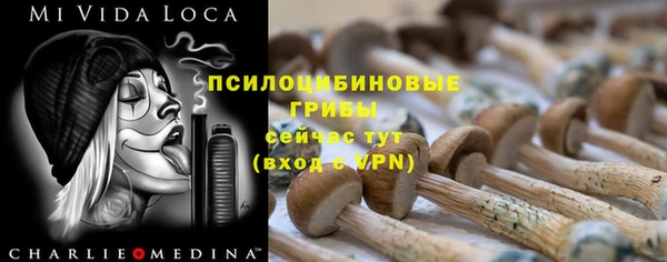 соль курить ск Алзамай