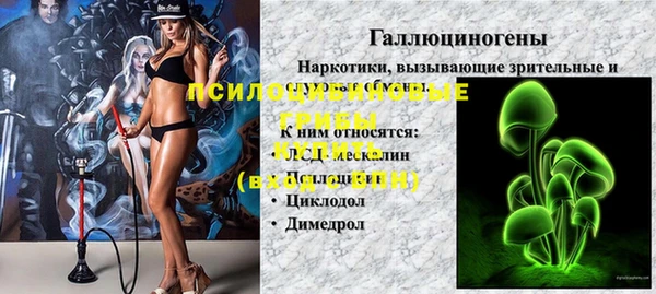 соль курить ск Алзамай