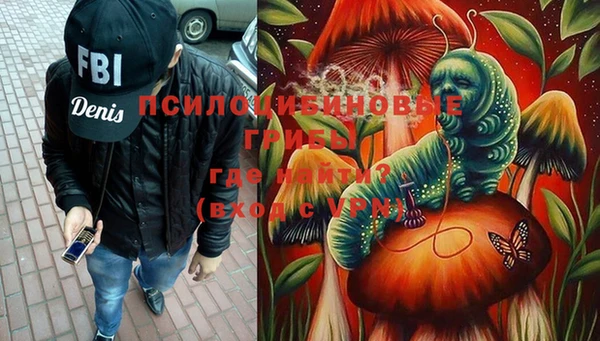 дурь Алексин