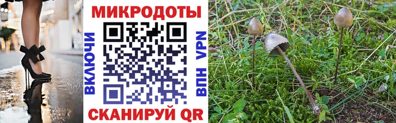 Галлюциногенные грибы прущие грибы  сколько стоит  Сосновка 